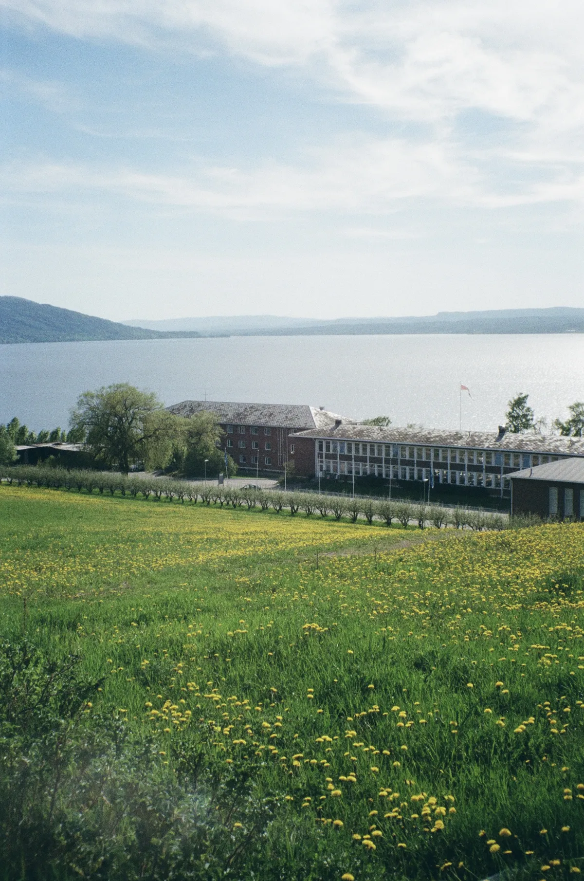 Norwegische Schule direkt am Fjord mit Blumenwiese vorne